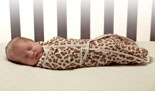 SwaddleClinch in Leopard Prnt